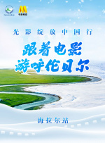 无赖老师